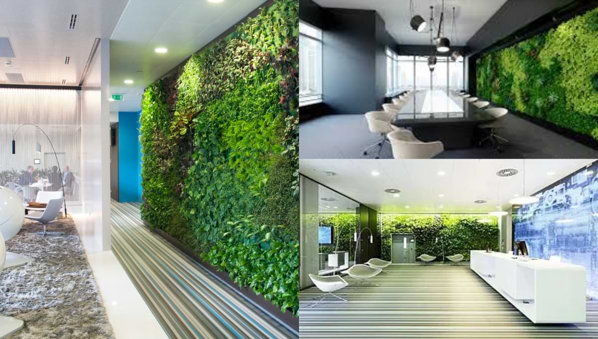 green wall office