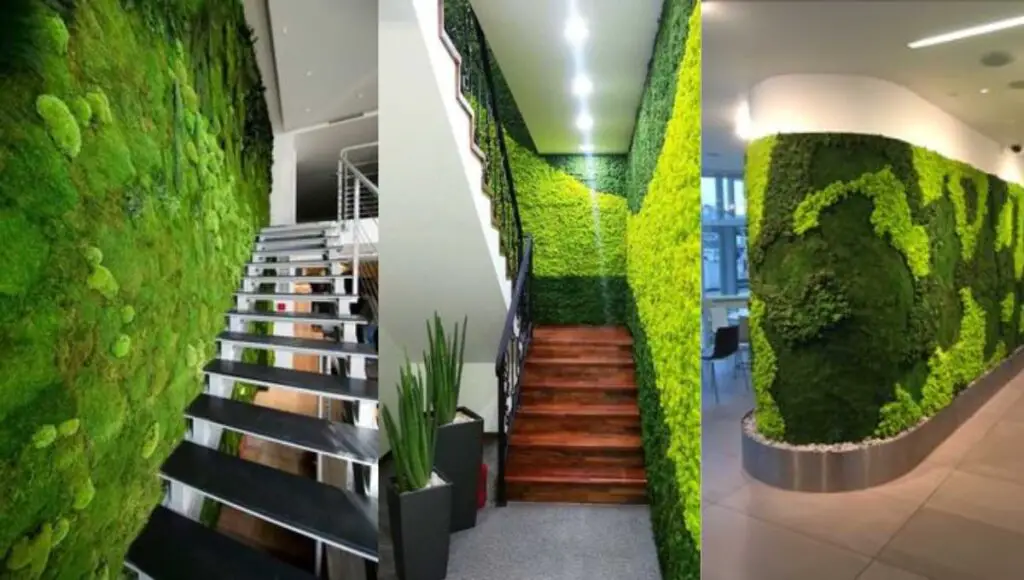 green wall stair